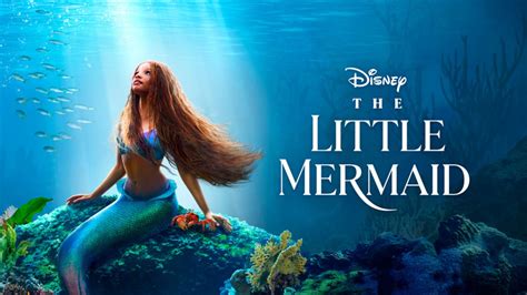 the little mermaid 2023 porn|Little Mermaid Movie 2023 Parody Porn Videos 